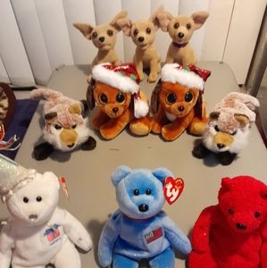 Multiple Ty beanie babies variations.